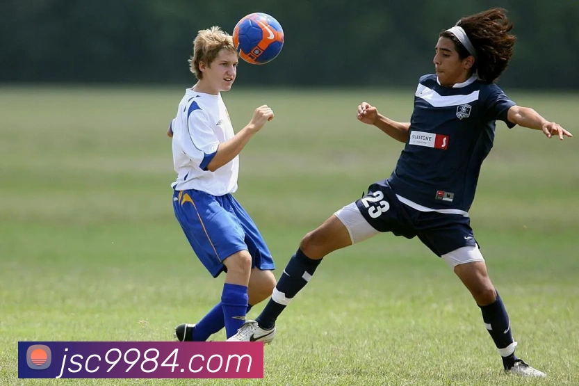 多媒体互动体验